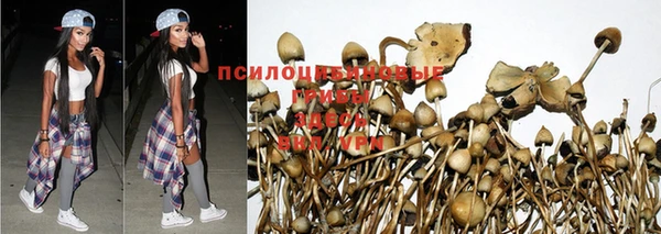 мескалин Снежногорск