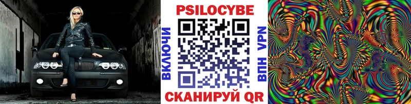 дарнет шоп  Алагир  Галлюциногенные грибы мицелий 